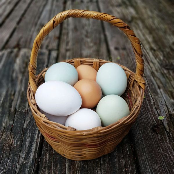 Several differently shaded eggs in a basket.