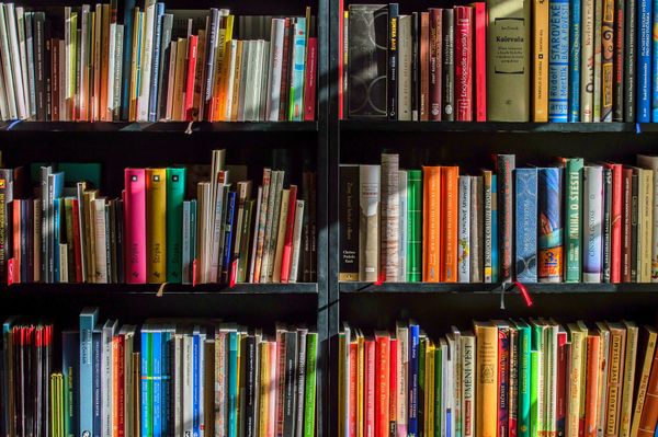 Several library shelves filled with books.